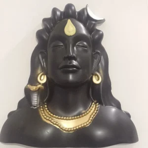 Aadi Yogi Wall Frame